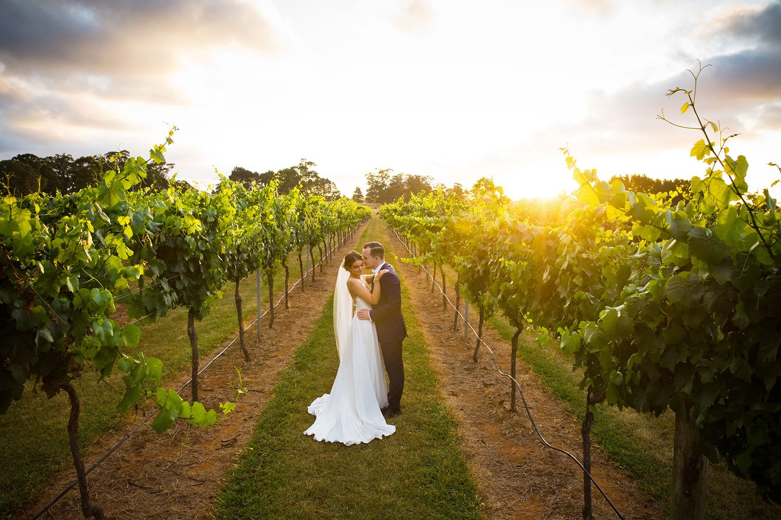 Bendooley Estate wedding sunset photo vines