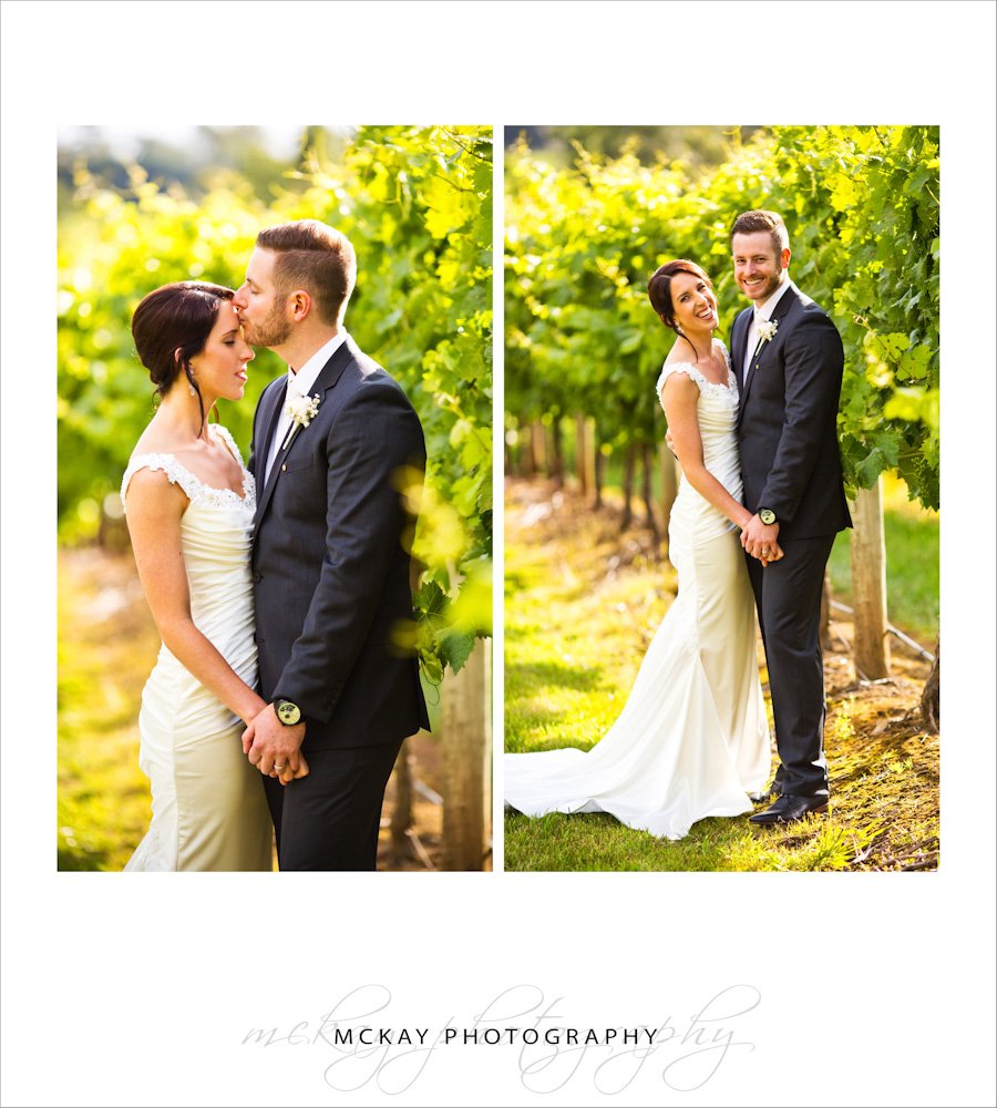 Bride groom photos at Centennial Vineyards in green grape vines