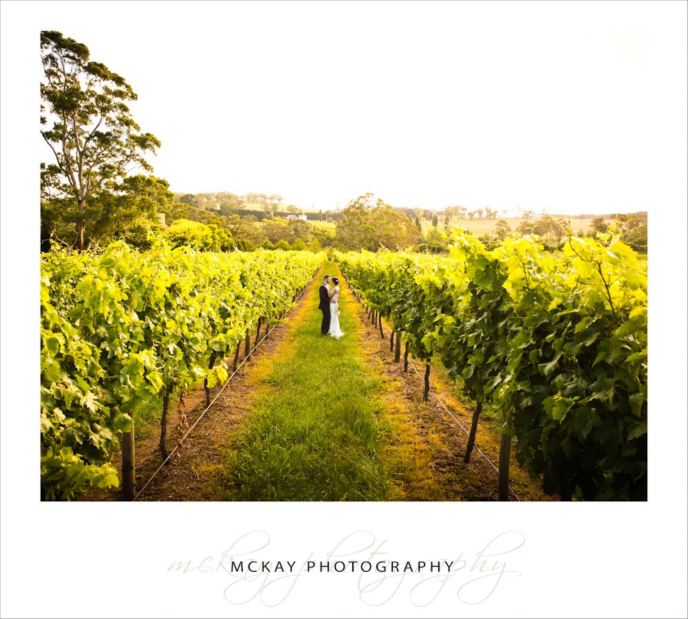 Centennial Vineyards wedding - McKay Photography