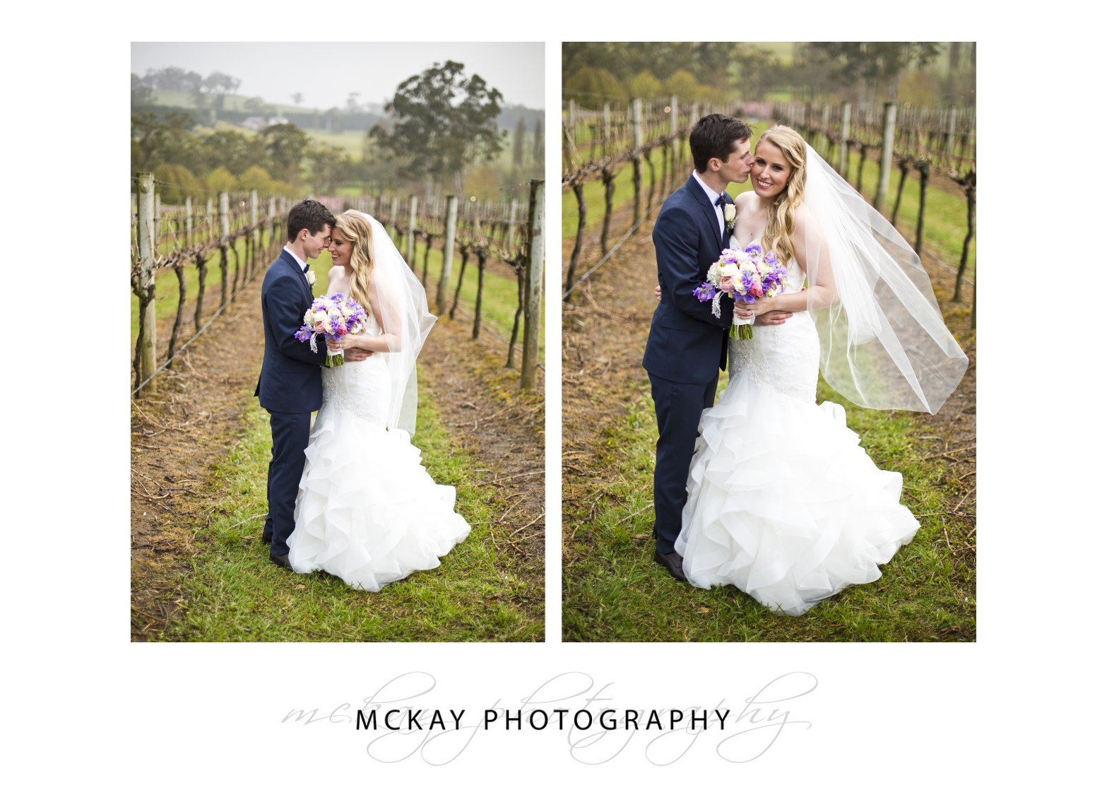 Danielle & Jerrod in the grape vine rows at Centennial Vineyards wedding