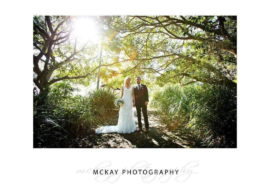 Bride and groom under tree light backlit