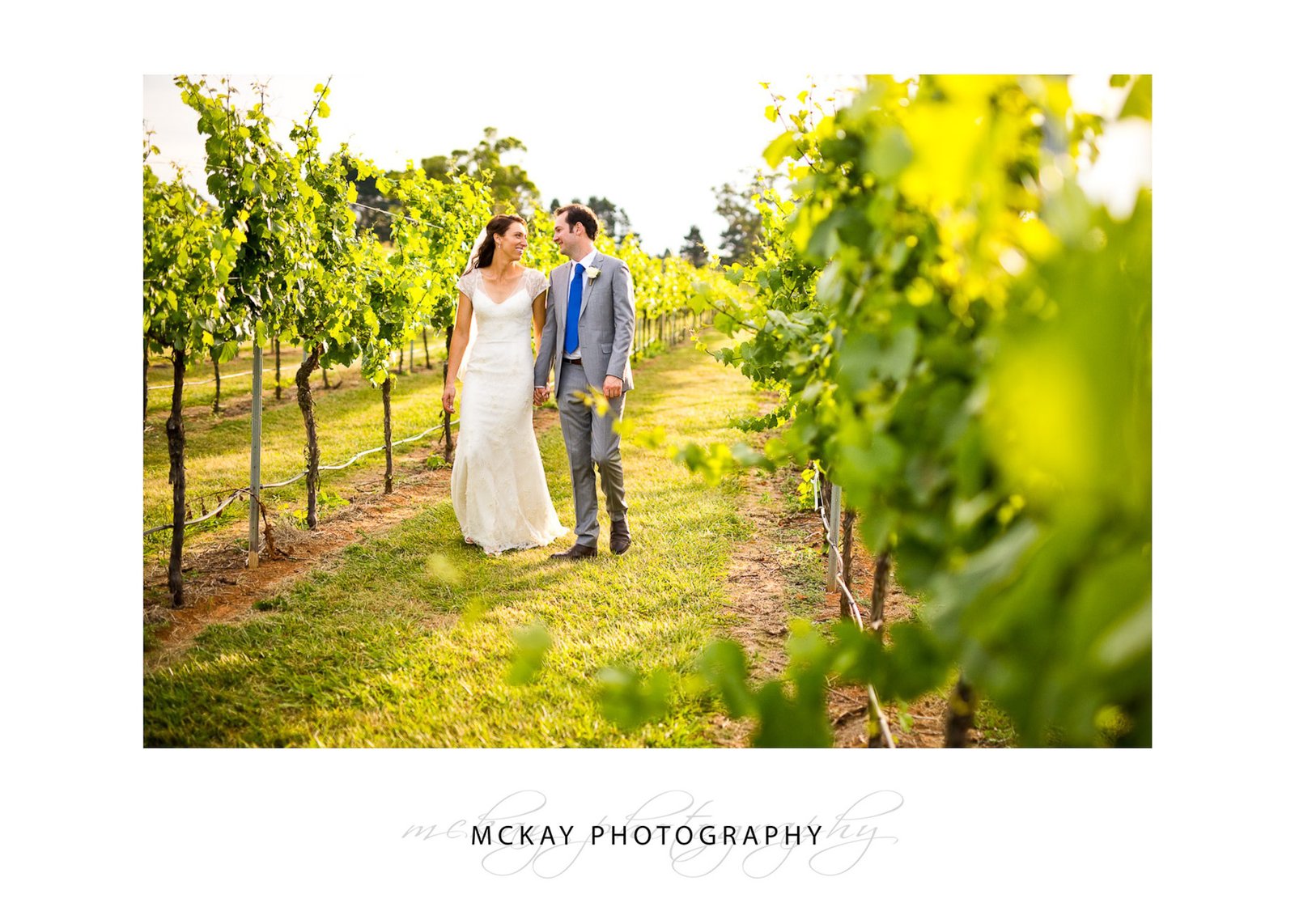 Walking in the grape vine rows at Bendooley Estate