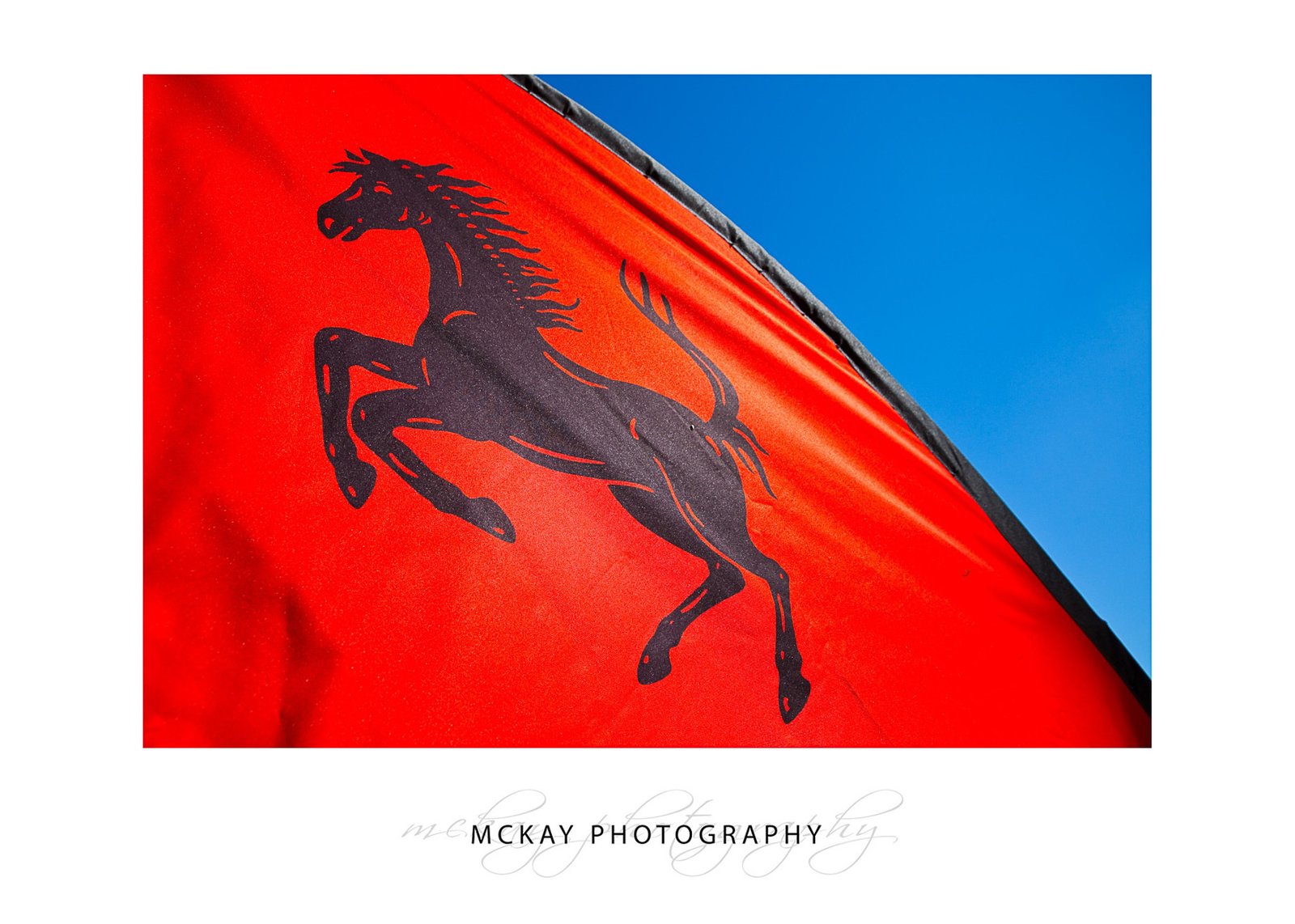 Ferrari logo on flag