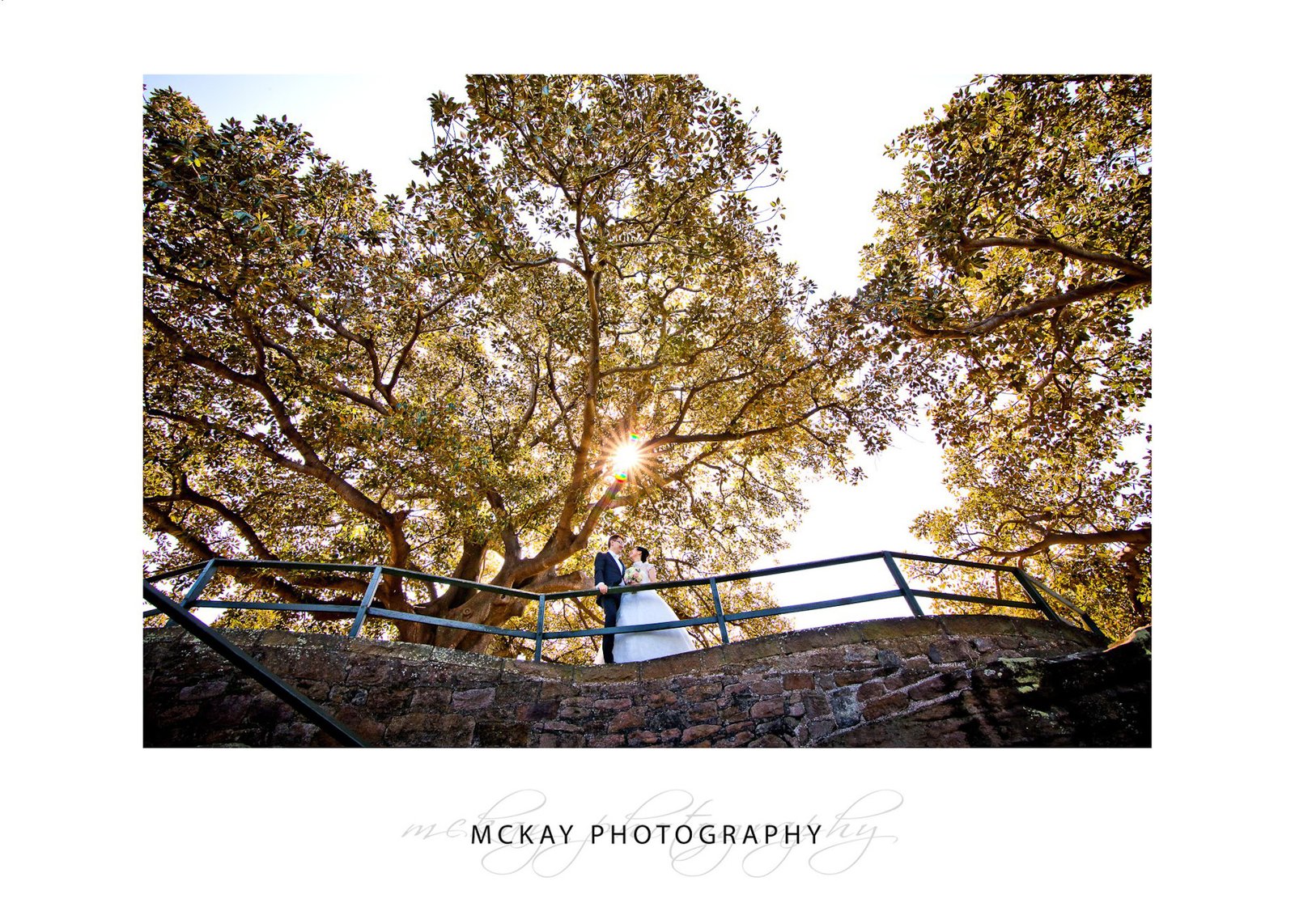 Wedding photo sunlight through trees at Mrs Macquaries Chair