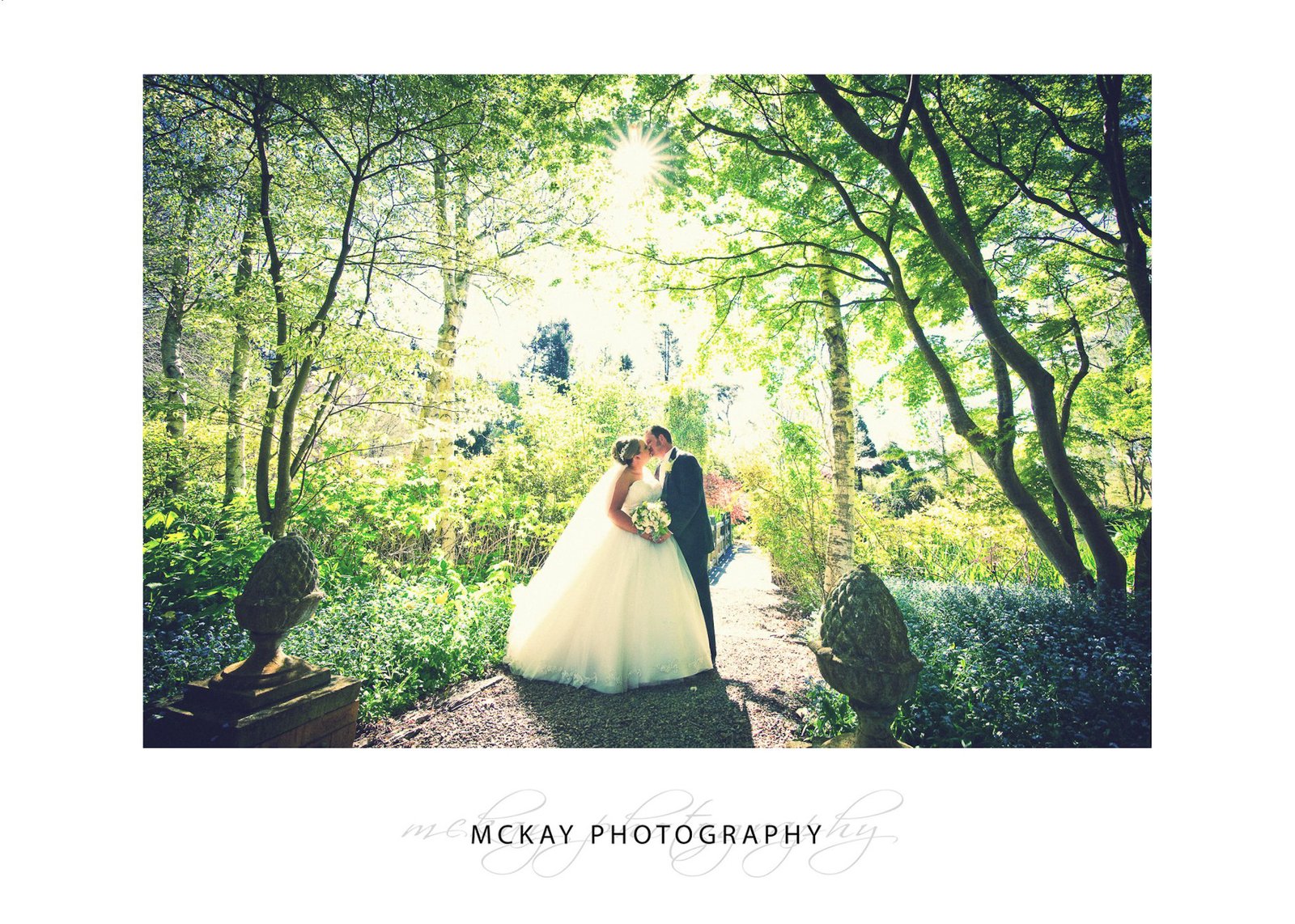 Wedding photo backlit at Red Cow Farm Sutton Forest