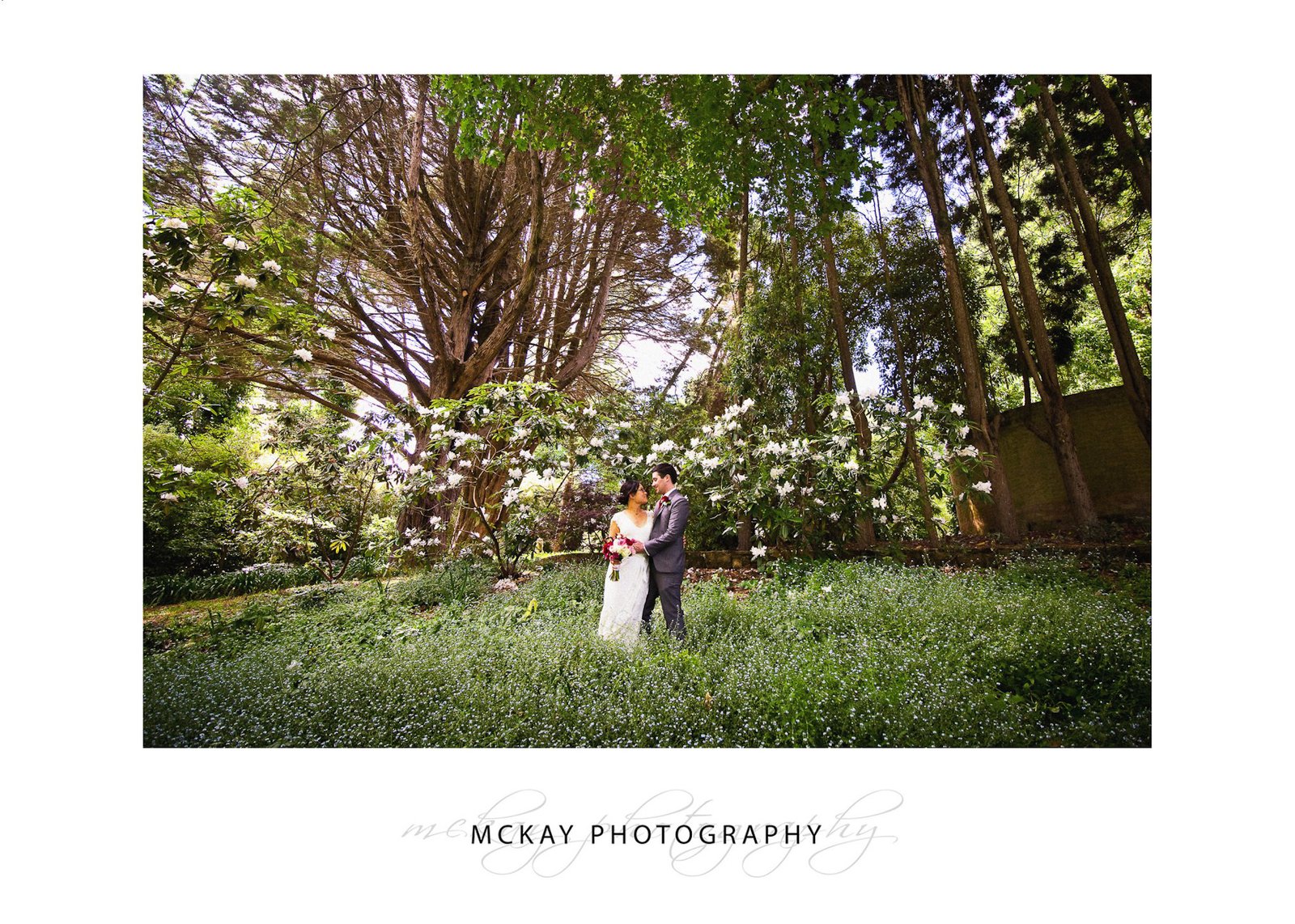 Field forget me nots wedding photos at the Ridge Bowral