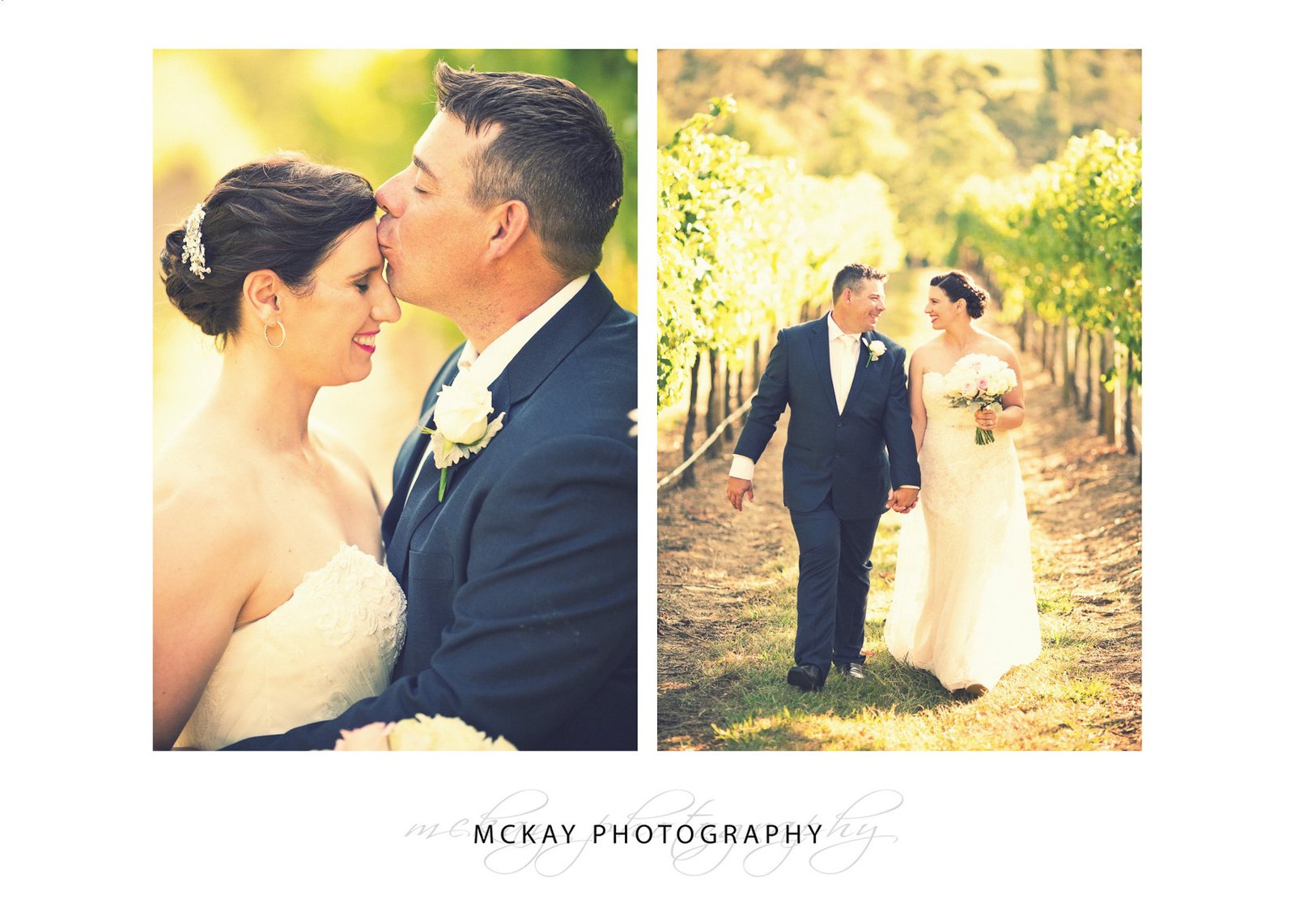 Wedding photos in the grape vine rows