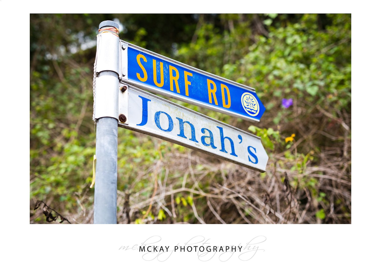 Jonah's sign