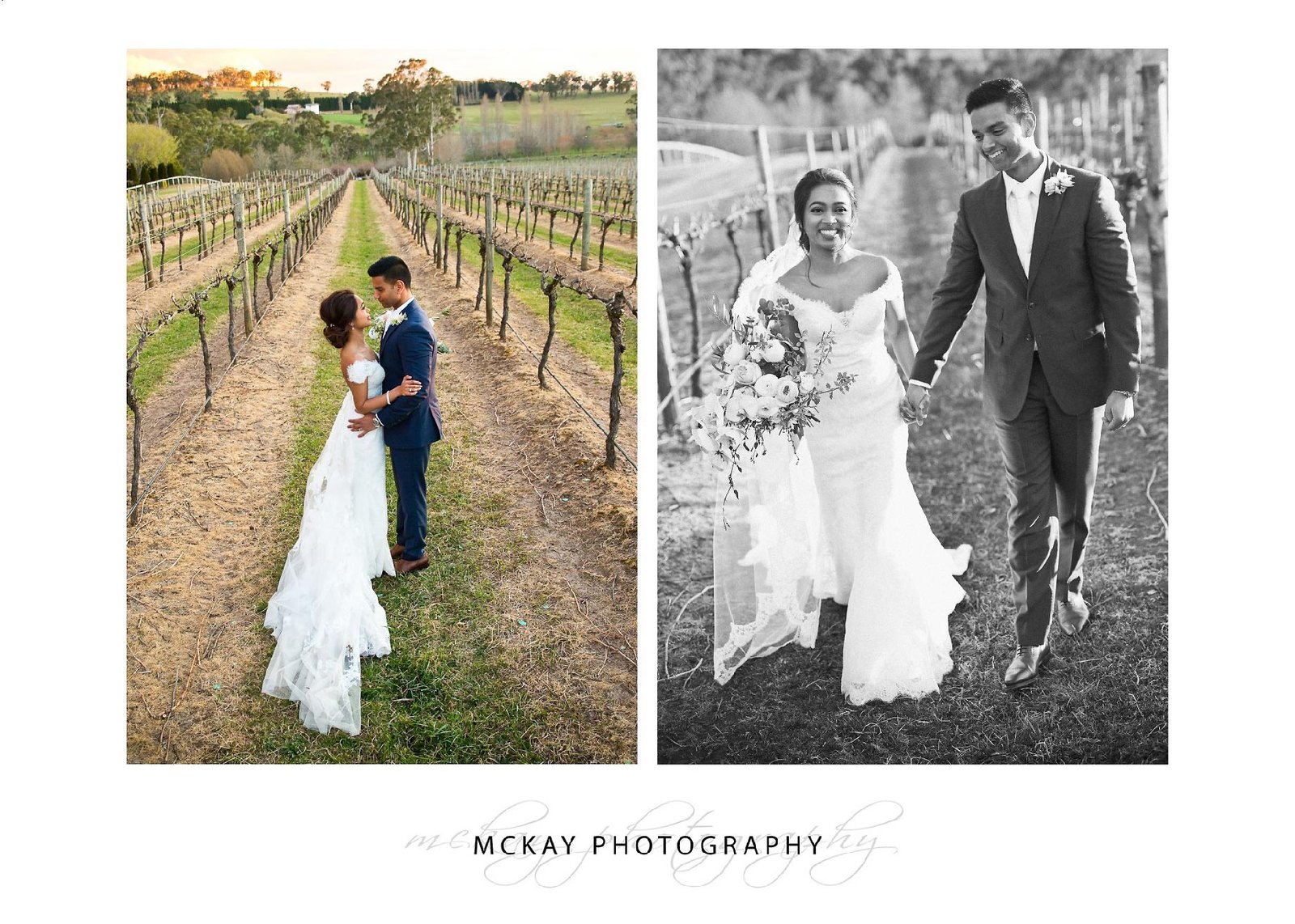 Wedding photos in the grape vines September