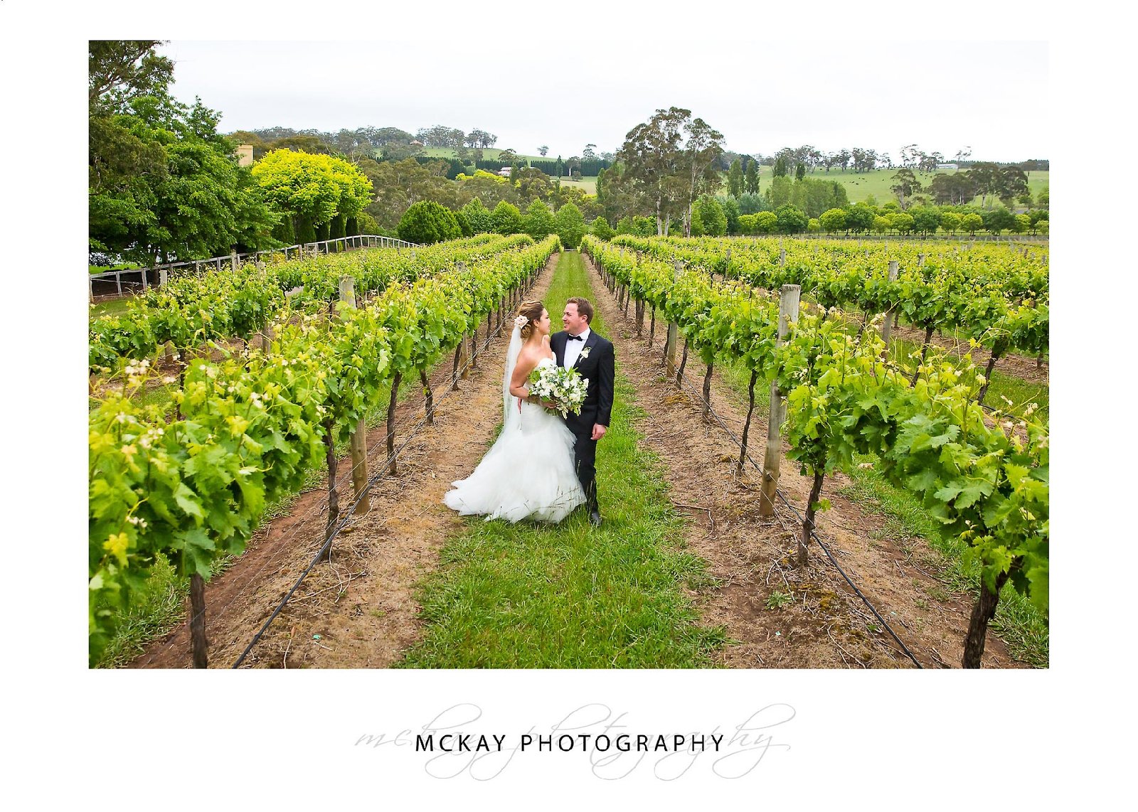 Bride groom in grape vine rows Wedding at Centennial Vineyards Bowral