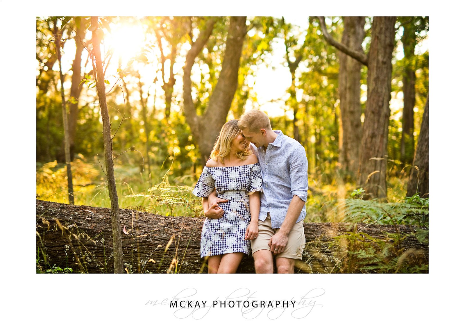 Forest photos engagement photography session sunset light through trees