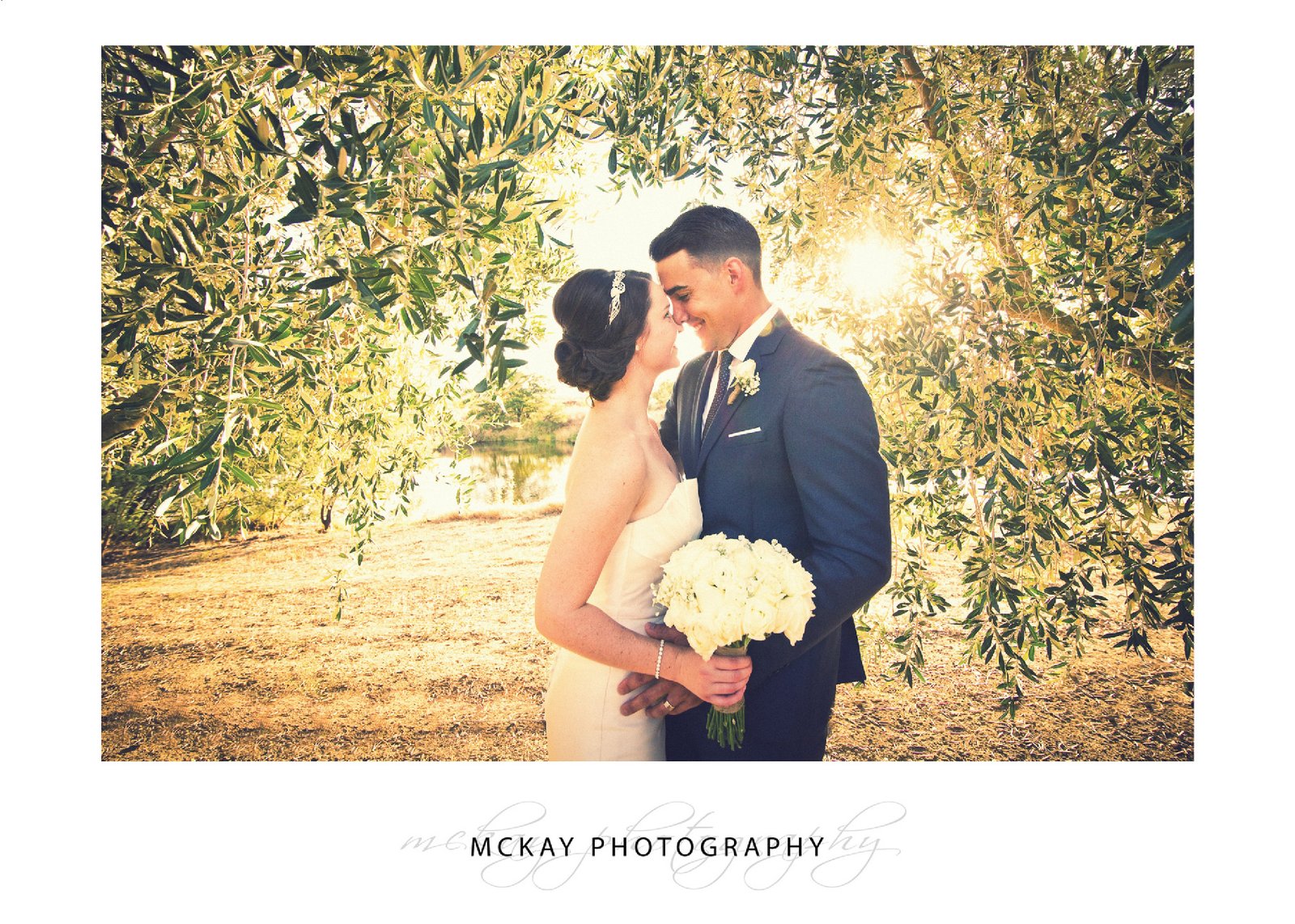 Pialligo Estate wedding photo sunlight through olive trees