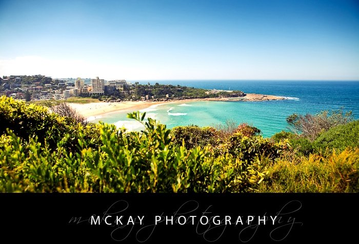 Freshwater View Reserve Queenscliff