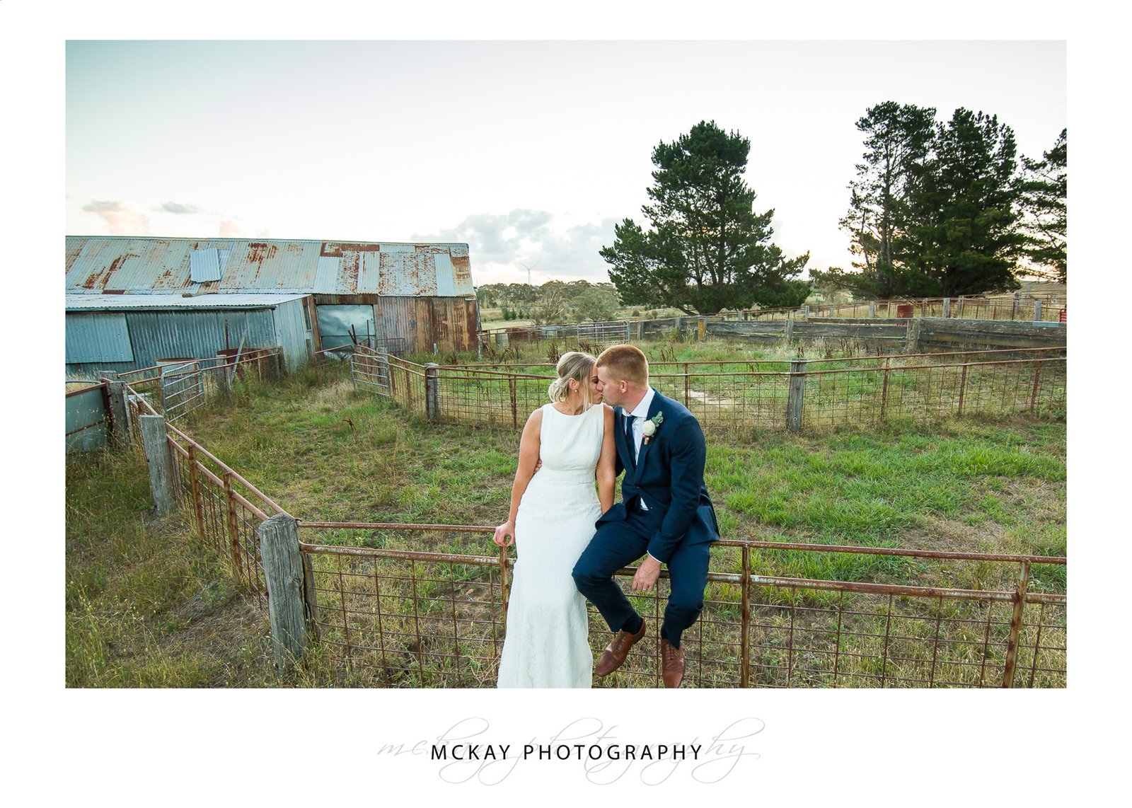 Sheep yards farm wedding
