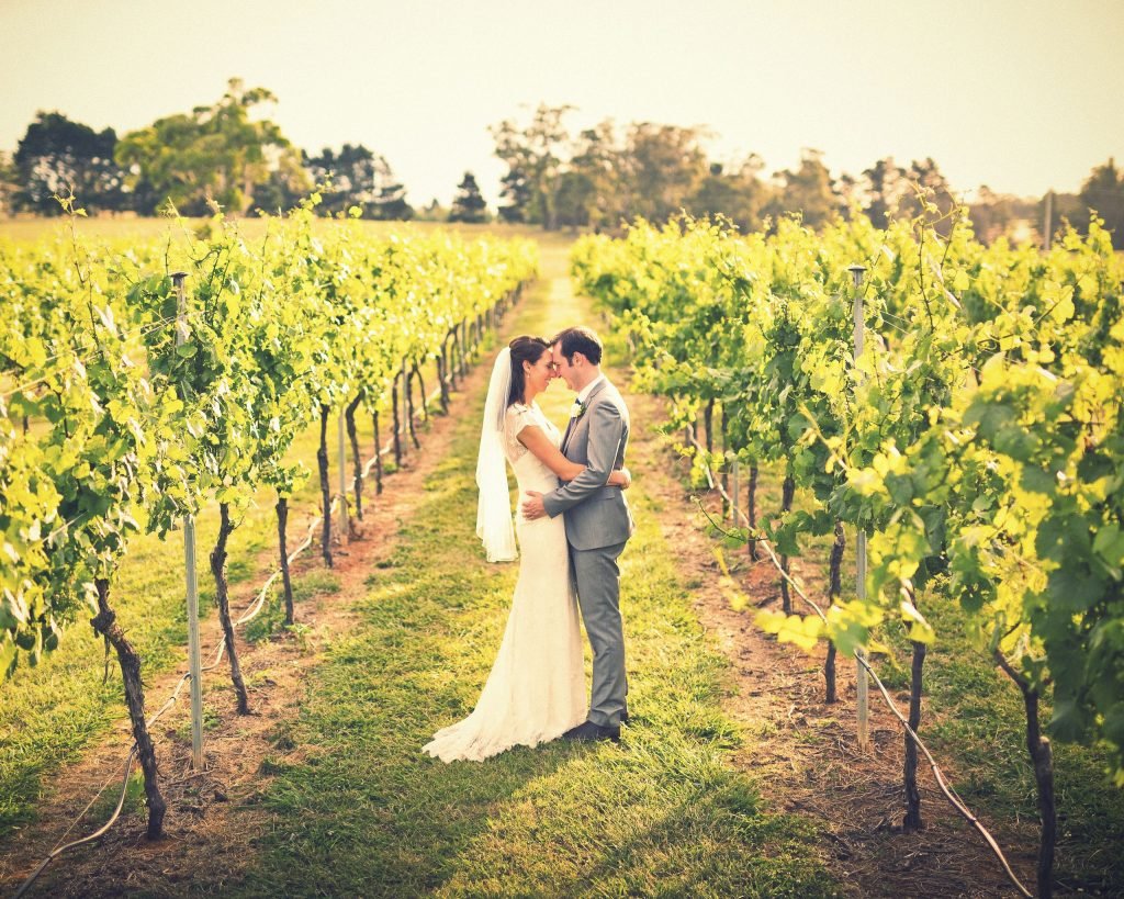 Bendooley Estate wedding vineyard